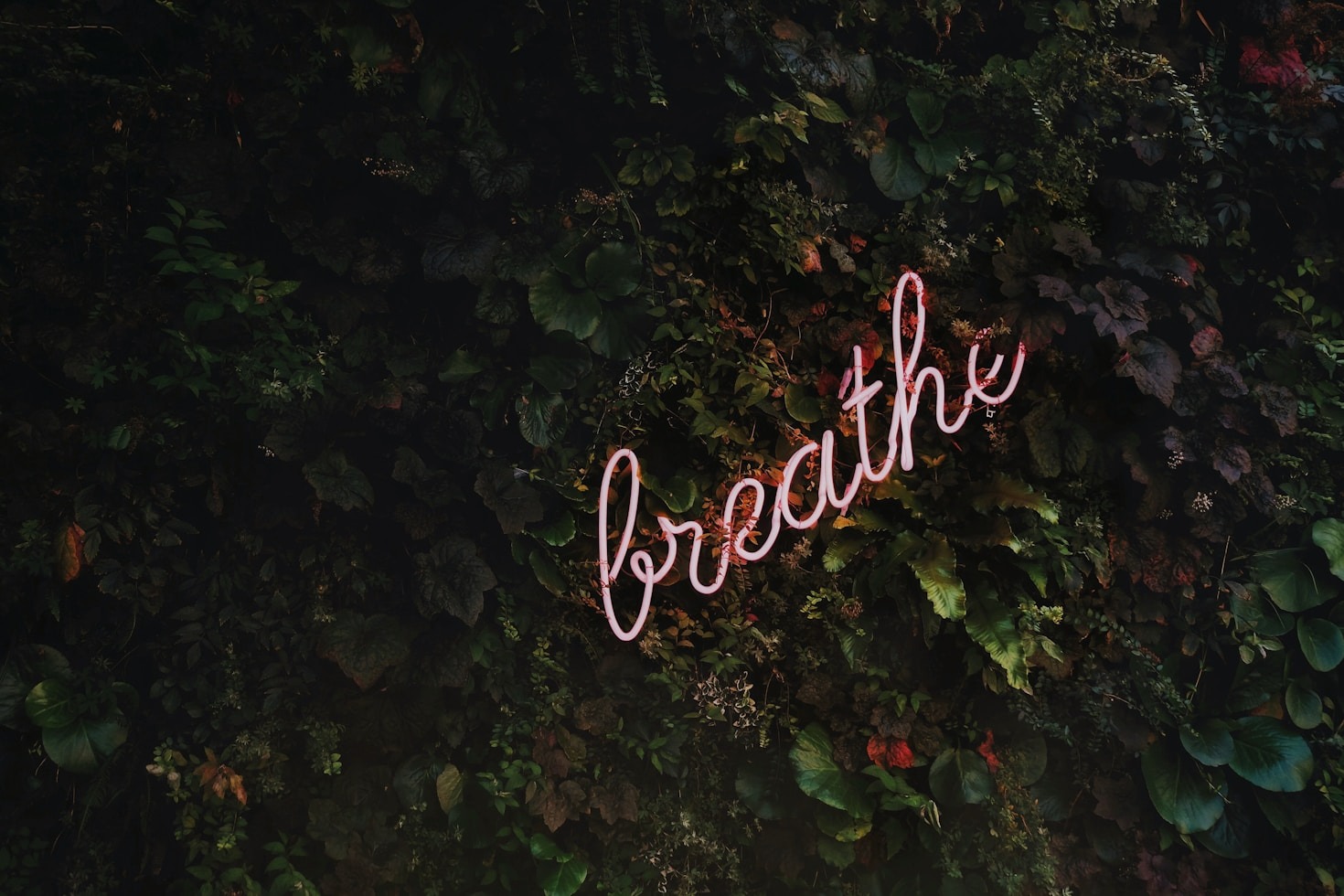 How to Manage Stress and Stay Resilient